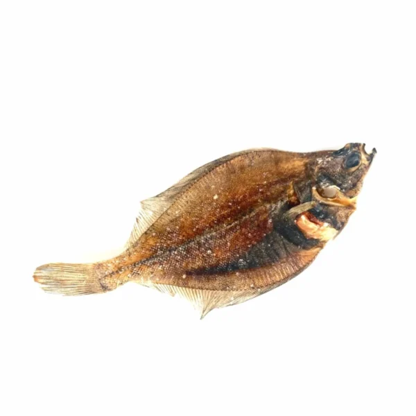 Platýs 1ks